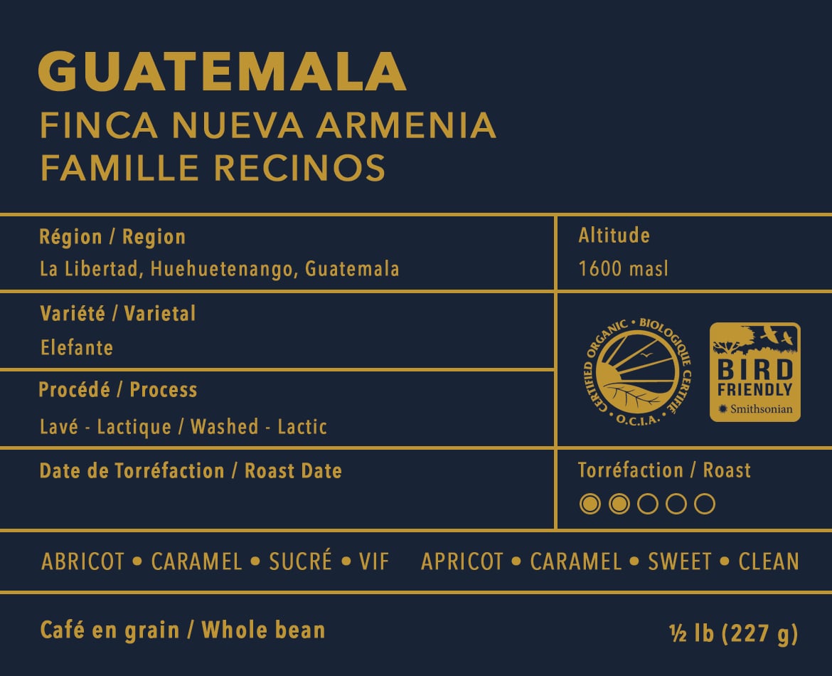 Guatemala — Finca Nueva Armenia · Famille Recinos